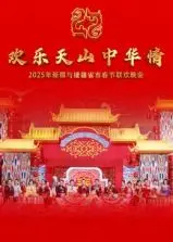 2025年新疆与援疆省市春节联欢晚会：绽放文化融合与民族团结的璀璨盛典